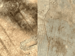 photo-collage.png (1)